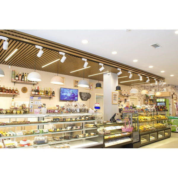 Proiector LED RFAN, Model B72 WH, 30W, 6000K Lumina Rece, 3420lm, Directionabil pe Sina Monofazata, Alb